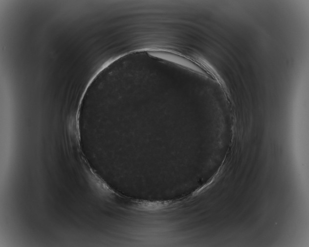 X0000082940892200703020125