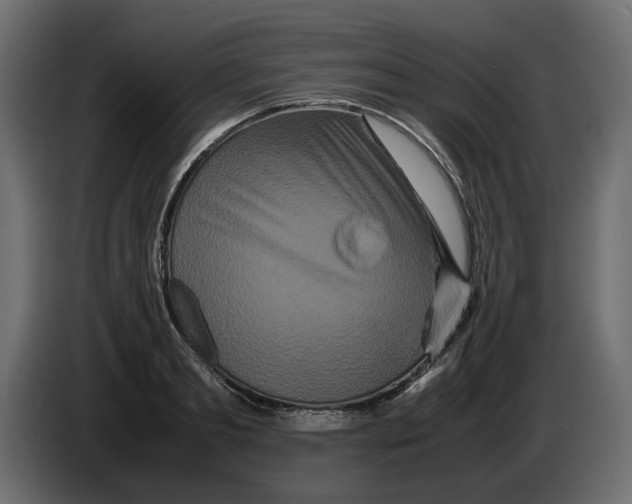 X0000082940893200703020125