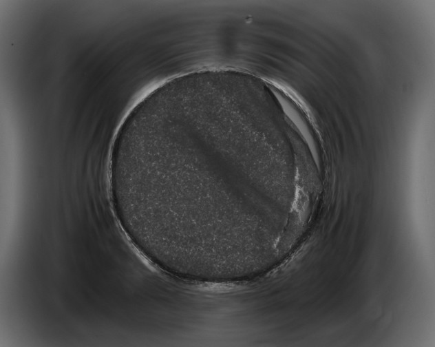 X0000082940894200703020125