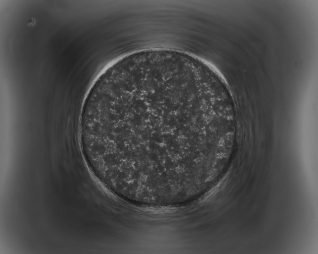 X0000082940895200703020125