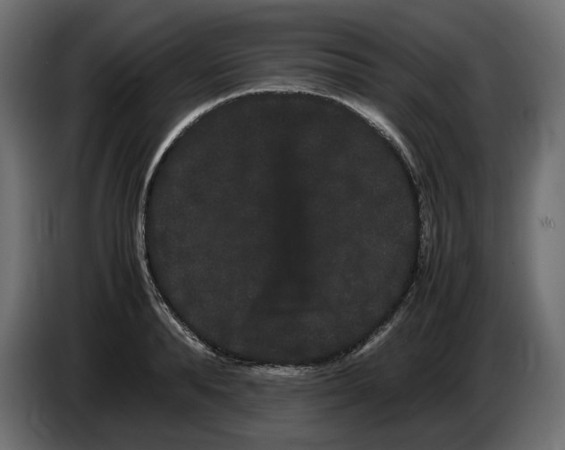 X0000082940896200703020125