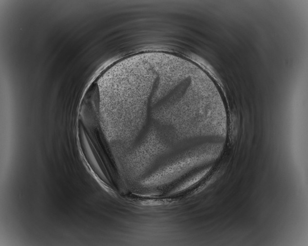 X0000082940898200703020125