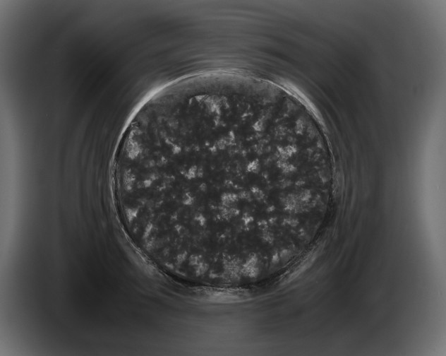 X0000082940899200703020125