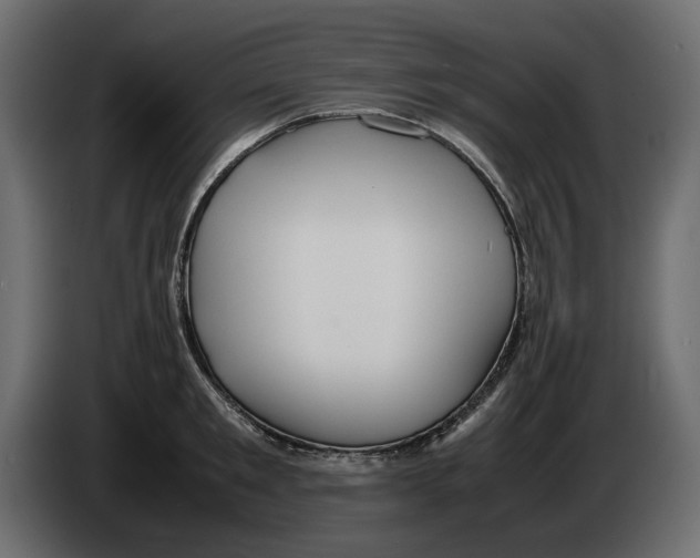 X0000082940901200703020125