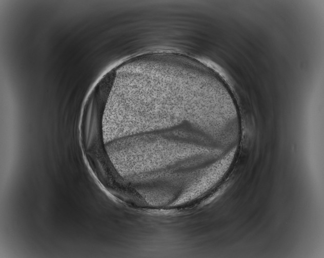 X0000082940902200703020125