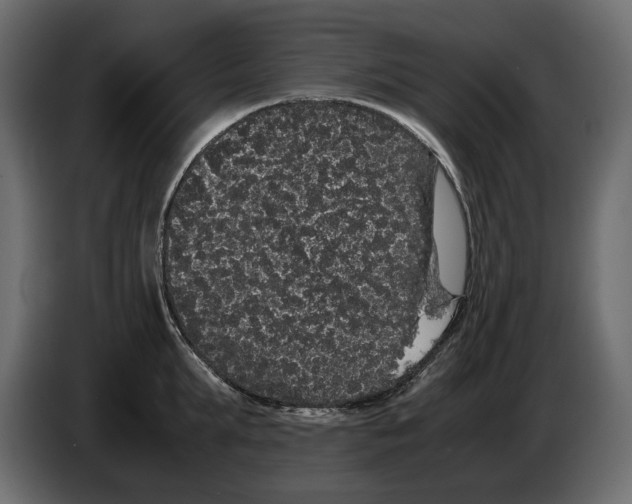 X0000082940903200703020125