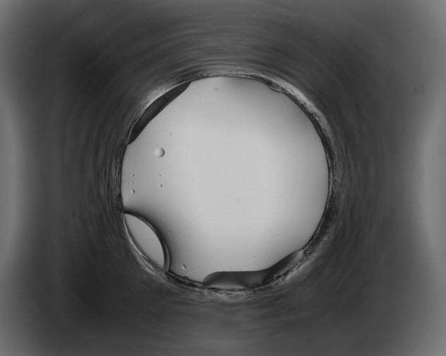 X0000082940905200703020124