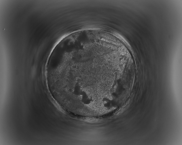 X0000082940907200703020124