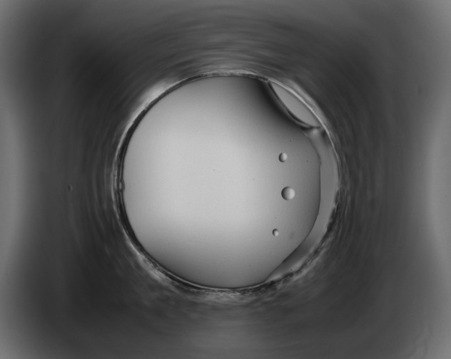 X0000082940909200703020124