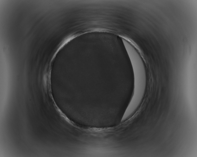 X0000082940910200703020124