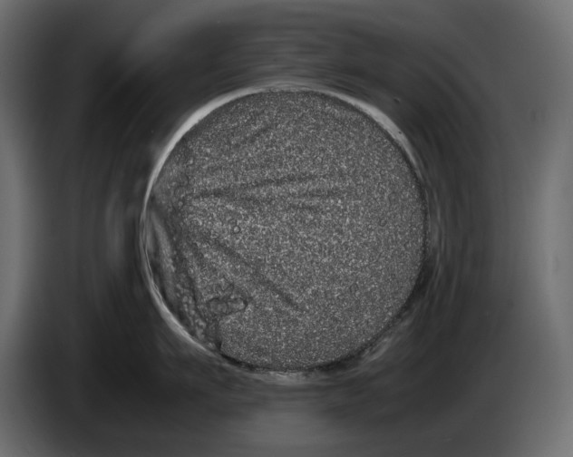 X0000082940911200703020124