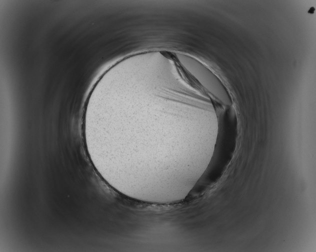 X0000082940912200703020124