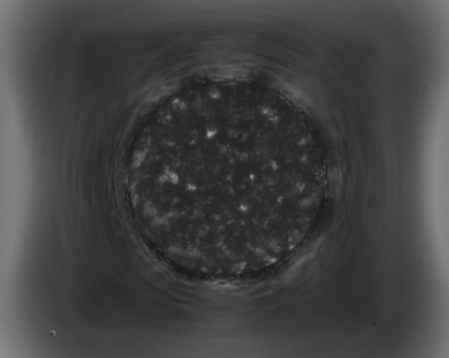 X0000082940913200703020124