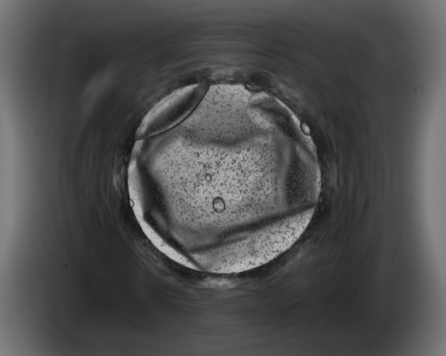 X0000082940914200703020124