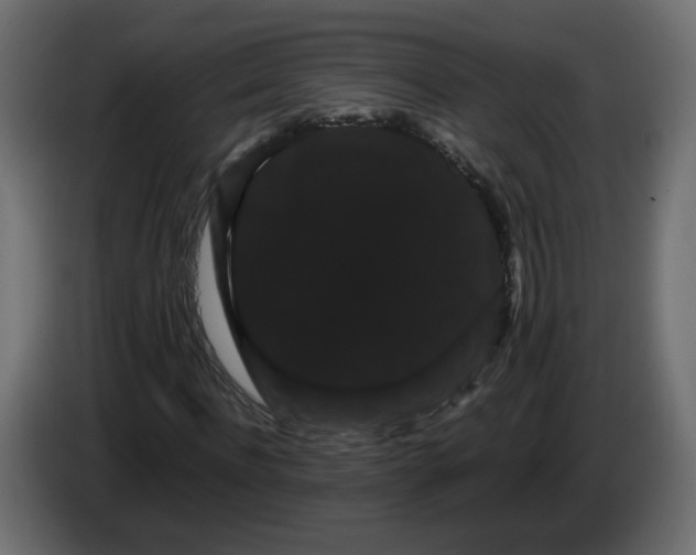 X0000082940916200703020124