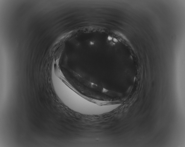 X0000082940919200703020124