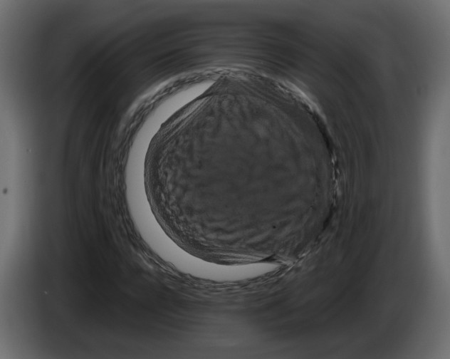 X0000082940920200703020124