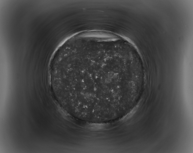 X0000082940925200703020124