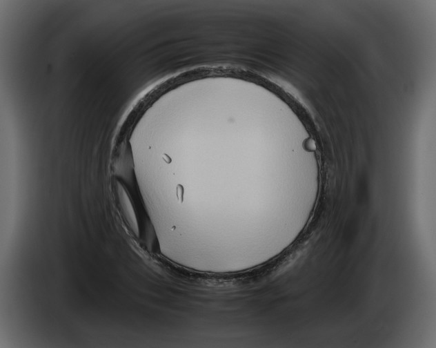 X0000082940927200703020124