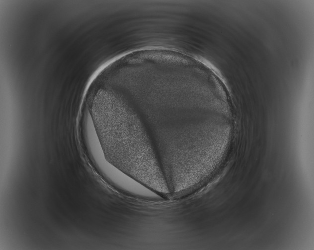 X0000082940928200703020124