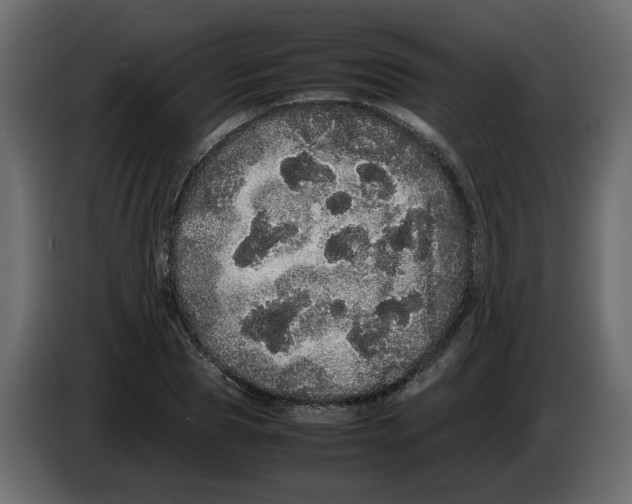 X0000082940929200703020124