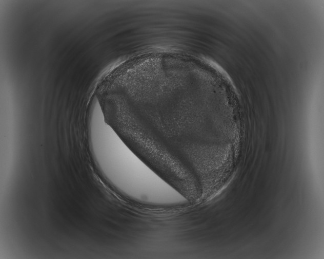 X0000082940930200703020124