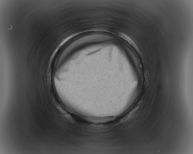 X0000082940931200703020124