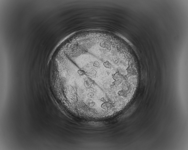 X0000082940933200703020124