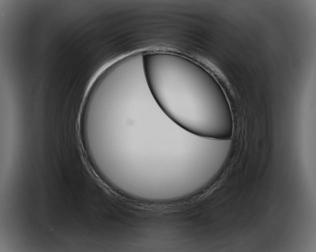 X0000082940936200703020124