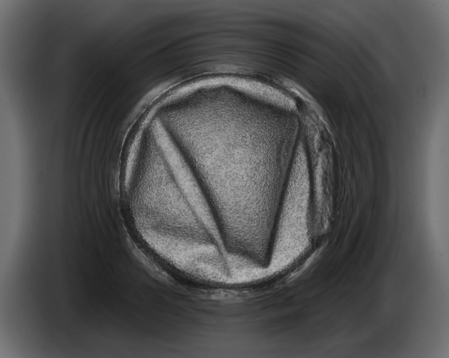 X0000082940938200703020124