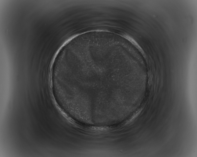 X0000082940939200703020124