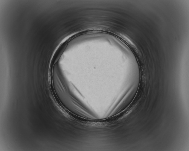 X0000082940940200703020124