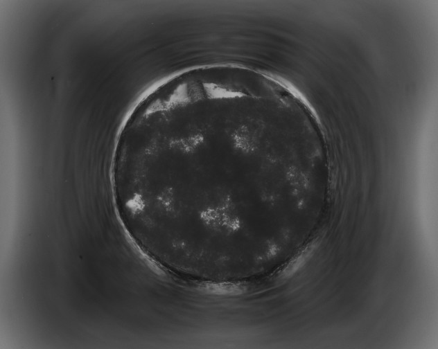 X0000082940943200703020124