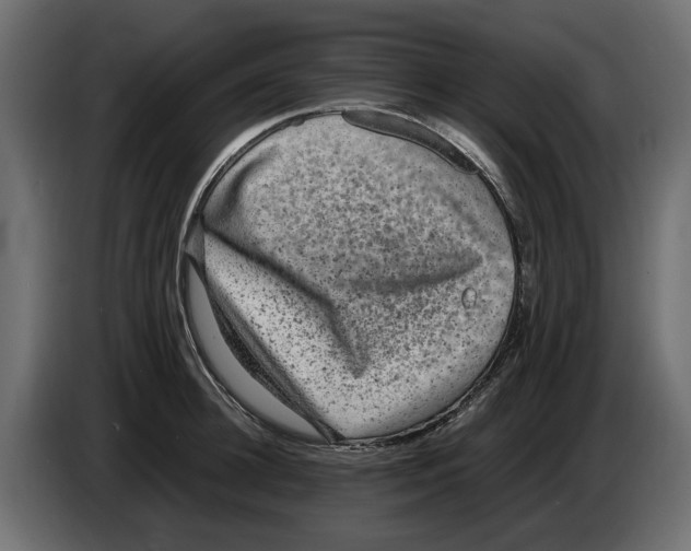 X0000082940948200703020124