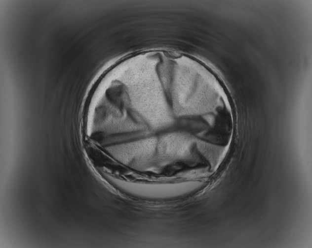 X0000082940949200703020124