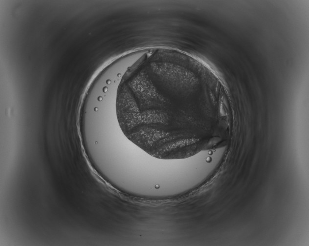 X0000082940950200703020124