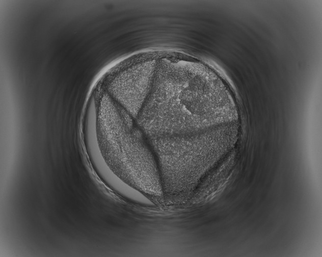 X0000082940952200703020124