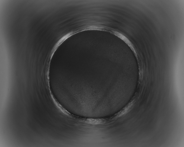 X0000082940954200703020124