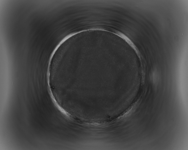 X0000082940955200703020124