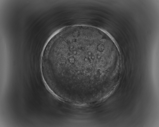 X0000082940957200703020124