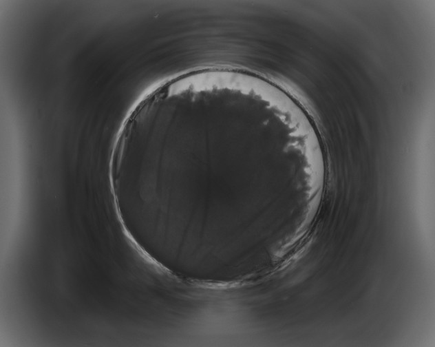 X0000082940958200703020124