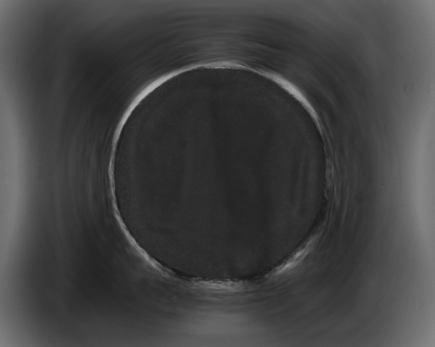 X0000082940959200703020124