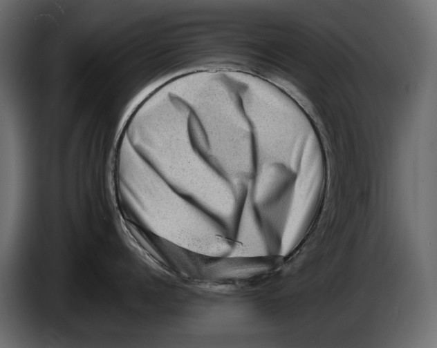 X0000082940960200703020124