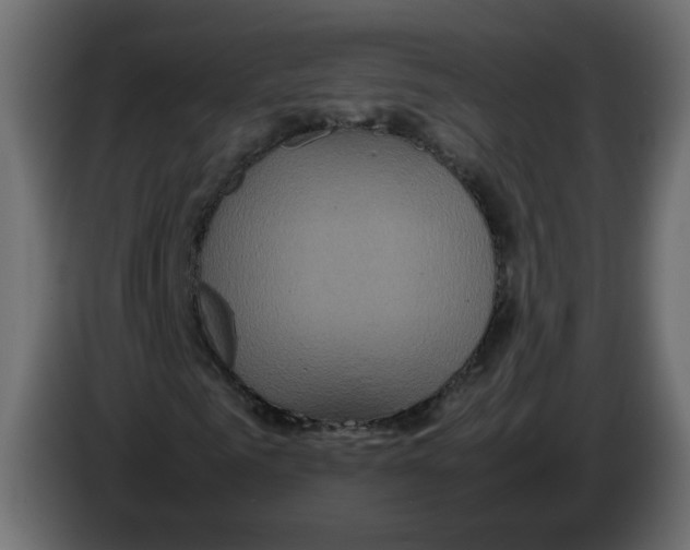 X0000082940961200703020124