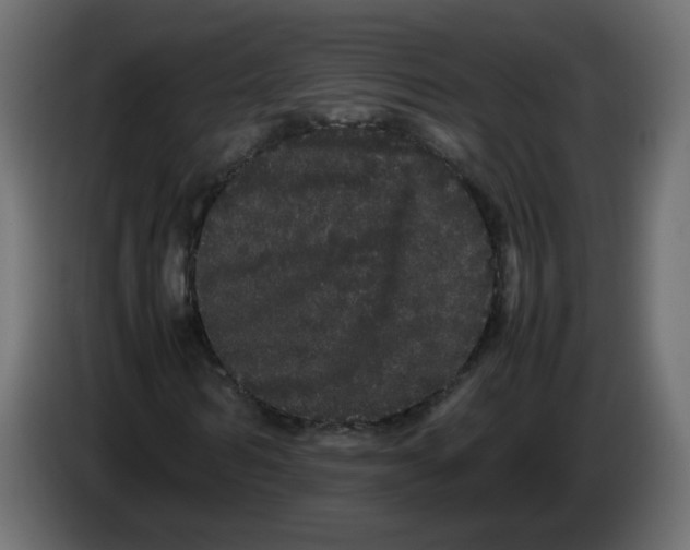 X0000082940962200703020124