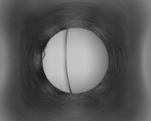 X0000082940964200703020124