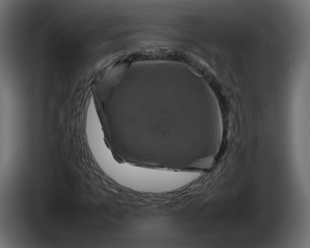 X0000082940965200703020124