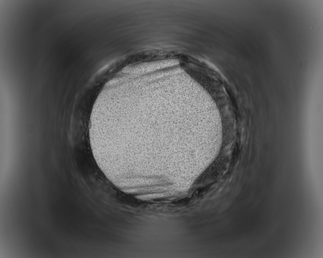 X0000082940967200703020124