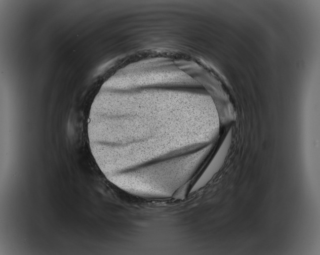 X0000082940968200703020124