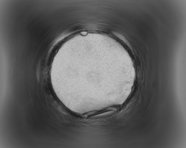 X0000082940971200703020124